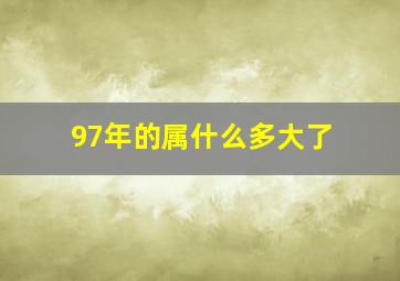 97年的属什么多大了