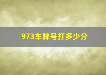 973车牌号打多少分