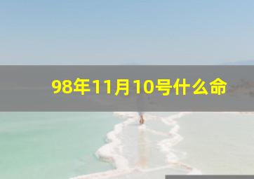 98年11月10号什么命