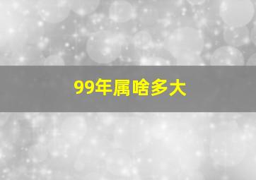 99年属啥多大