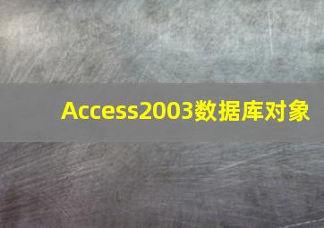 Access2003数据库对象