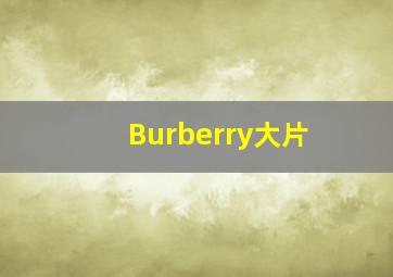 Burberry大片