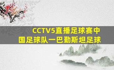 CCTV5直播足球赛中国足球队一巴勤斯坦足球