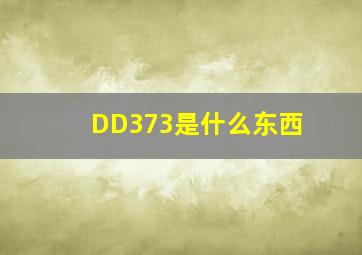 DD373是什么东西