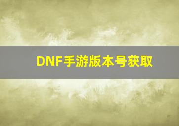 DNF手游版本号获取