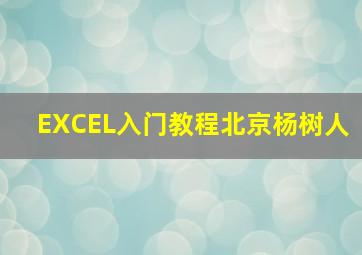 EXCEL入门教程北京杨树人