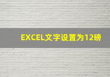 EXCEL文字设置为12磅