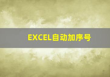 EXCEL自动加序号