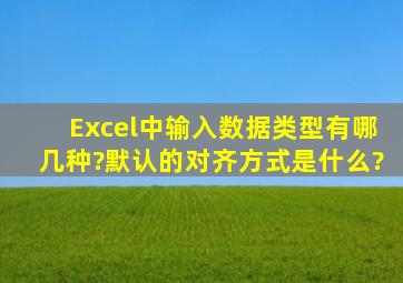 Excel中输入数据类型有哪几种?默认的对齐方式是什么?