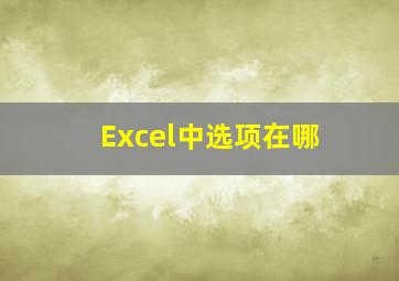 Excel中选项在哪