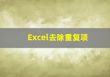 Excel去除重复项