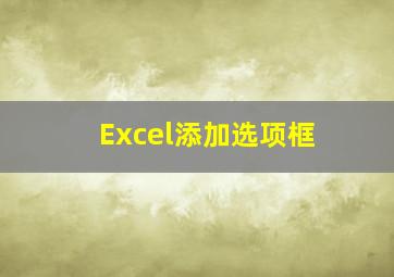 Excel添加选项框