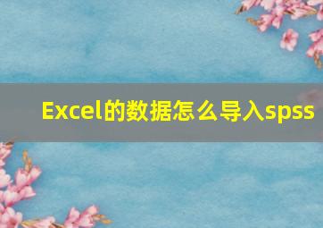 Excel的数据怎么导入spss