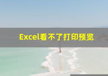 Excel看不了打印预览