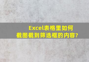 Excel表格里如何截图截到筛选框的内容?