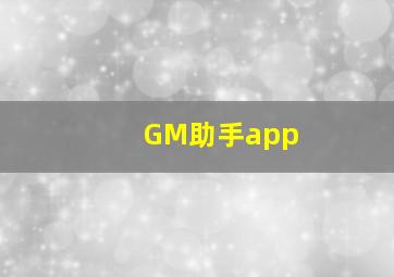 GM助手app