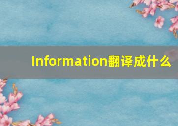 Information翻译成什么