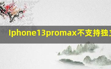 Iphone13promax不支持独立5g吗