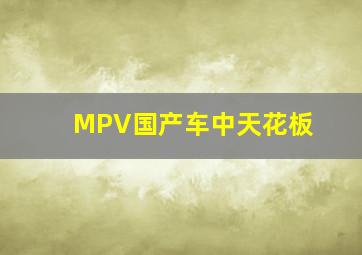 MPV国产车中天花板