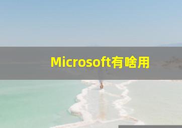 Microsoft有啥用