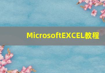 MicrosoftEXCEL教程