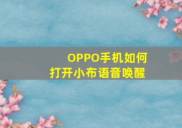 OPPO手机如何打开小布语音唤醒