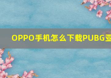 OPPO手机怎么下载PUBG亚服