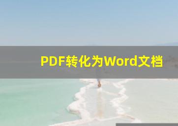 PDF转化为Word文档