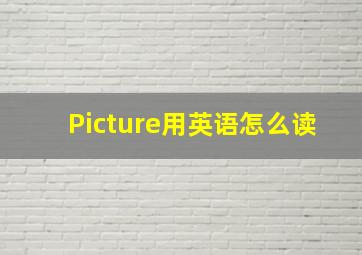 Picture用英语怎么读