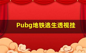 Pubg地铁逃生透视挂