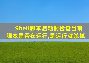 Shell脚本启动时检查当前脚本是否在运行,是运行就杀掉