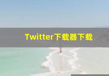 Twitter下载器下载