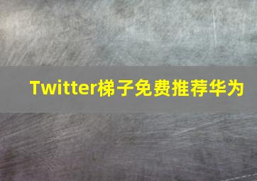 Twitter梯子免费推荐华为