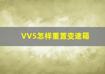 VV5怎样重置变速箱