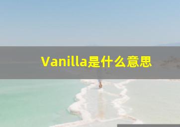 Vanilla是什么意思