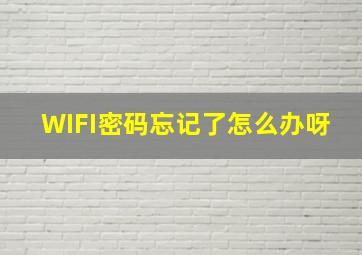 WIFI密码忘记了怎么办呀