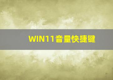 WIN11音量快捷键