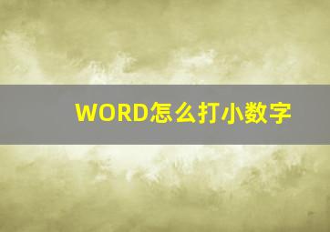 WORD怎么打小数字