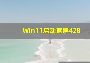 Win11启动蓝屏428