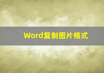 Word复制图片格式