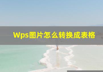 Wps图片怎么转换成表格