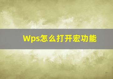 Wps怎么打开宏功能