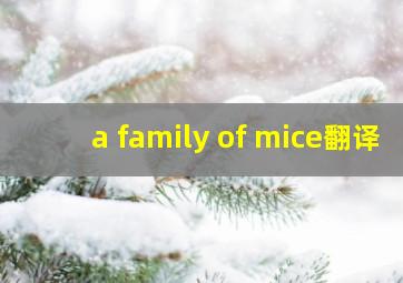 a family of mice翻译