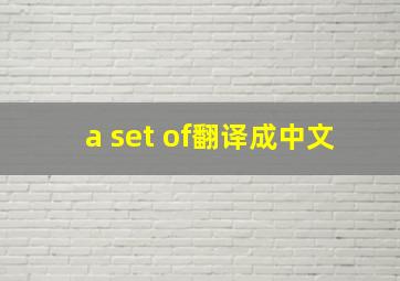 a set of翻译成中文