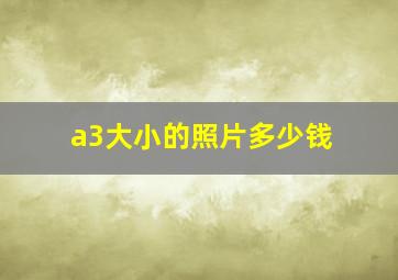 a3大小的照片多少钱