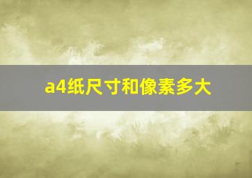 a4纸尺寸和像素多大