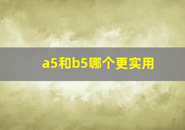 a5和b5哪个更实用