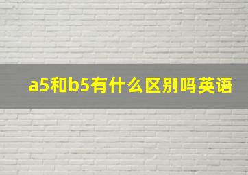 a5和b5有什么区别吗英语