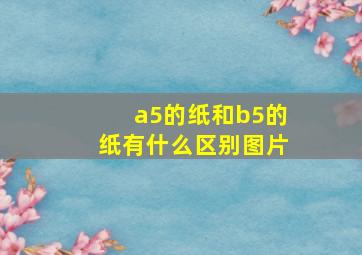 a5的纸和b5的纸有什么区别图片