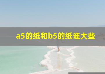 a5的纸和b5的纸谁大些